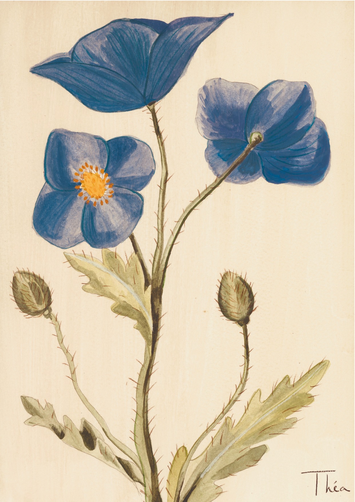 Fleurs bleues à l’aquarelle sur fond crème