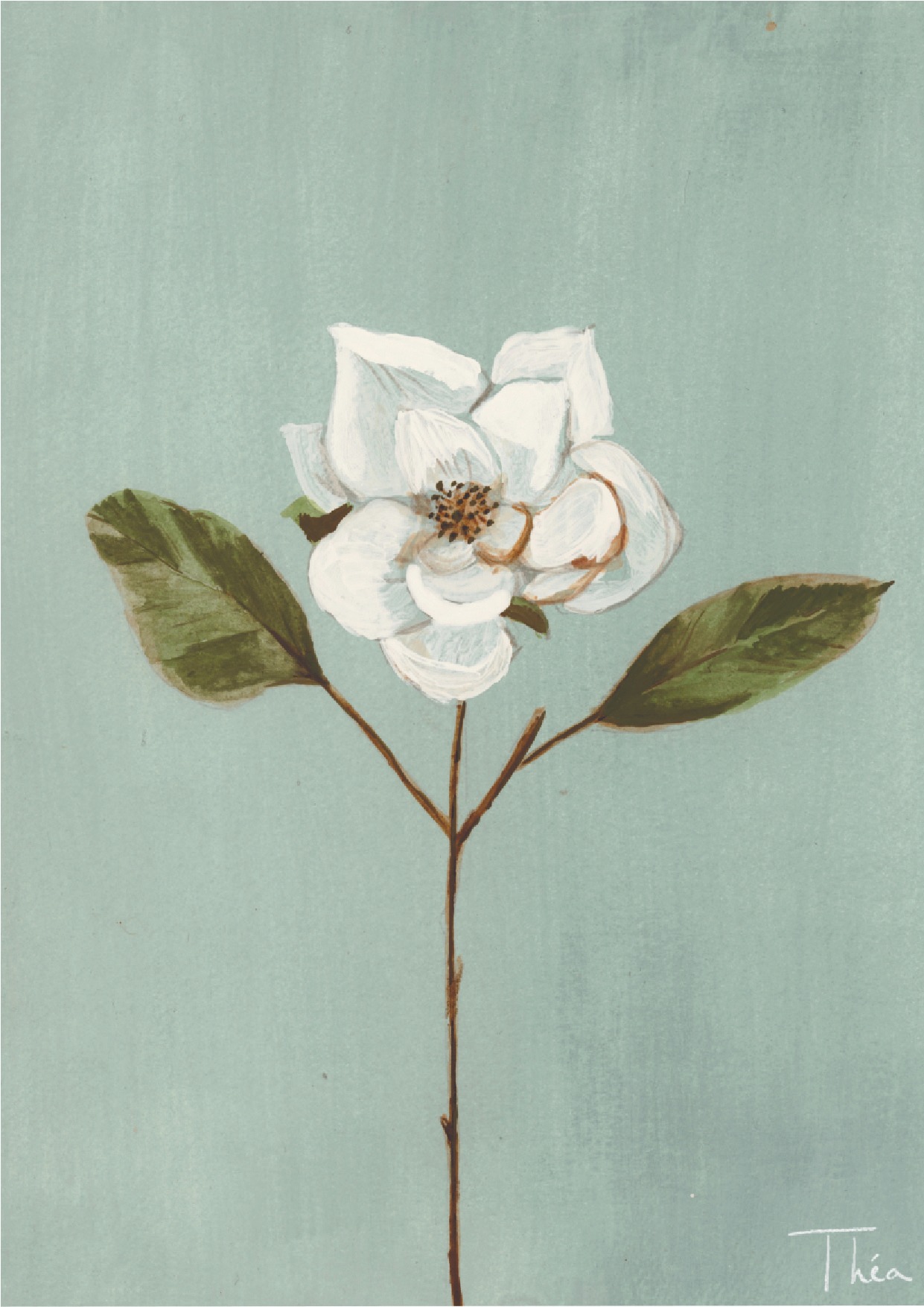 Fleur blanche peinte sur un fond bleu vert