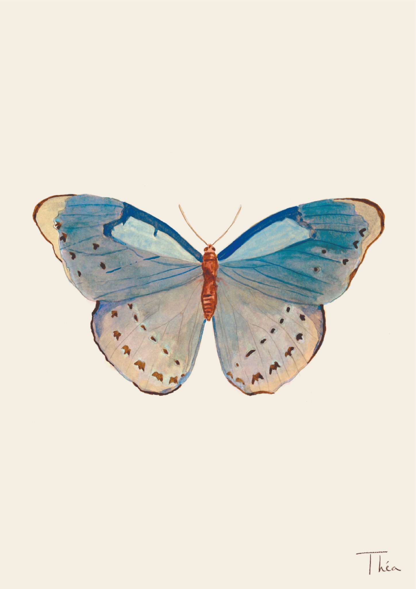 Papillon aux ailes bleues peint sur fond crème