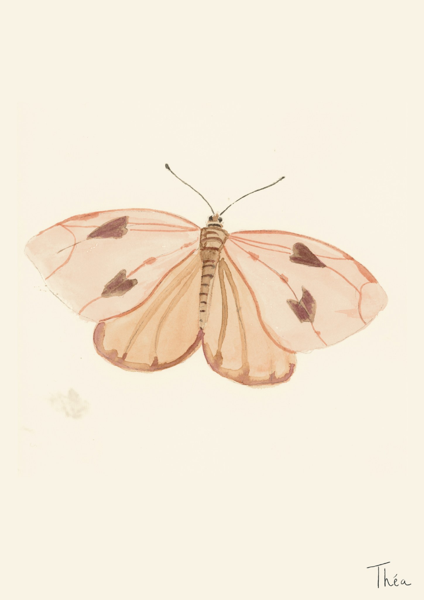 Papillon aux ailes rose pâle peint à l’aquarelle